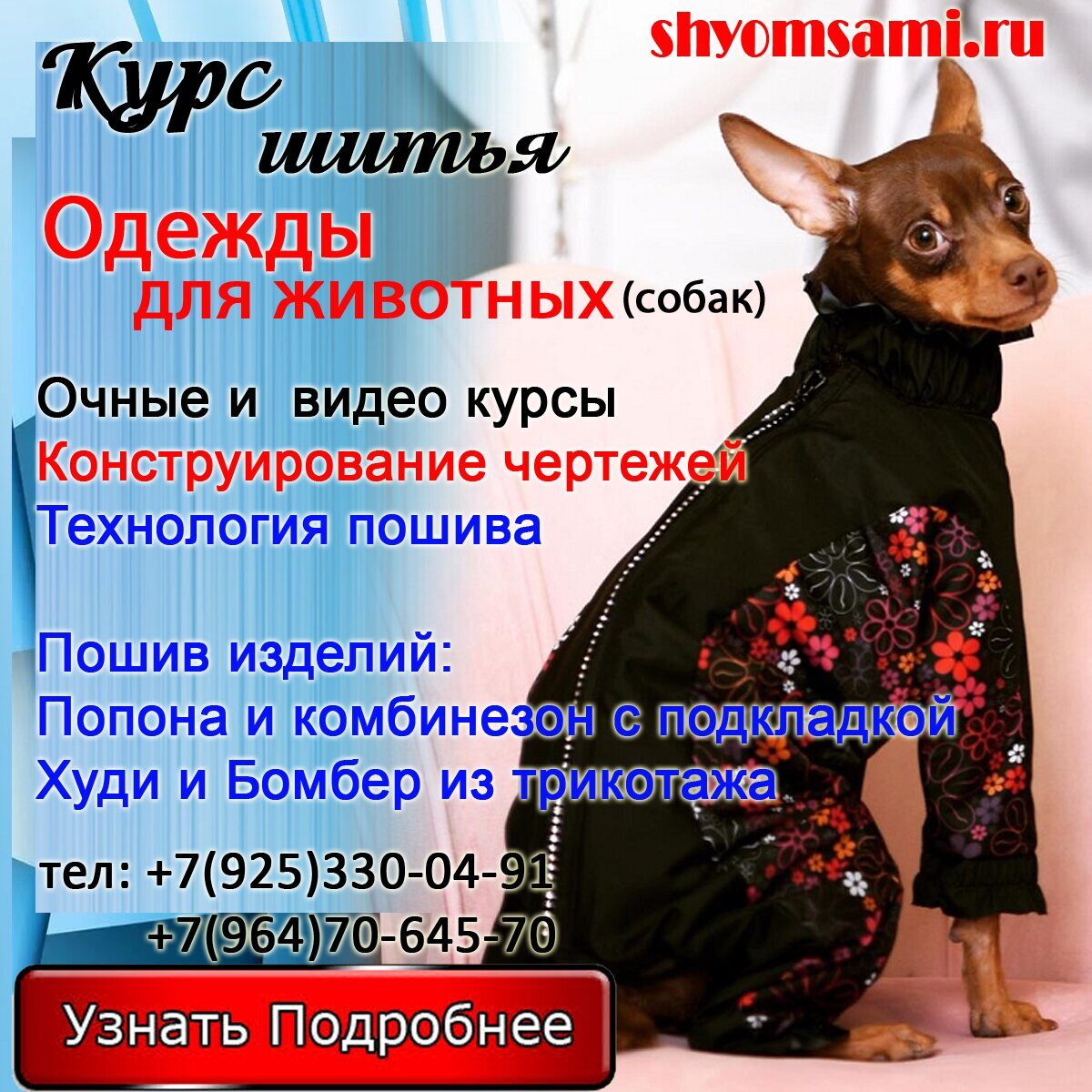 Курс шитья одежды для животных